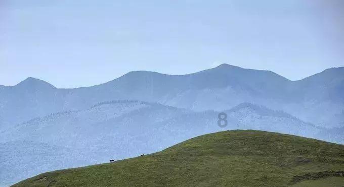 逃出猫头鹰岛